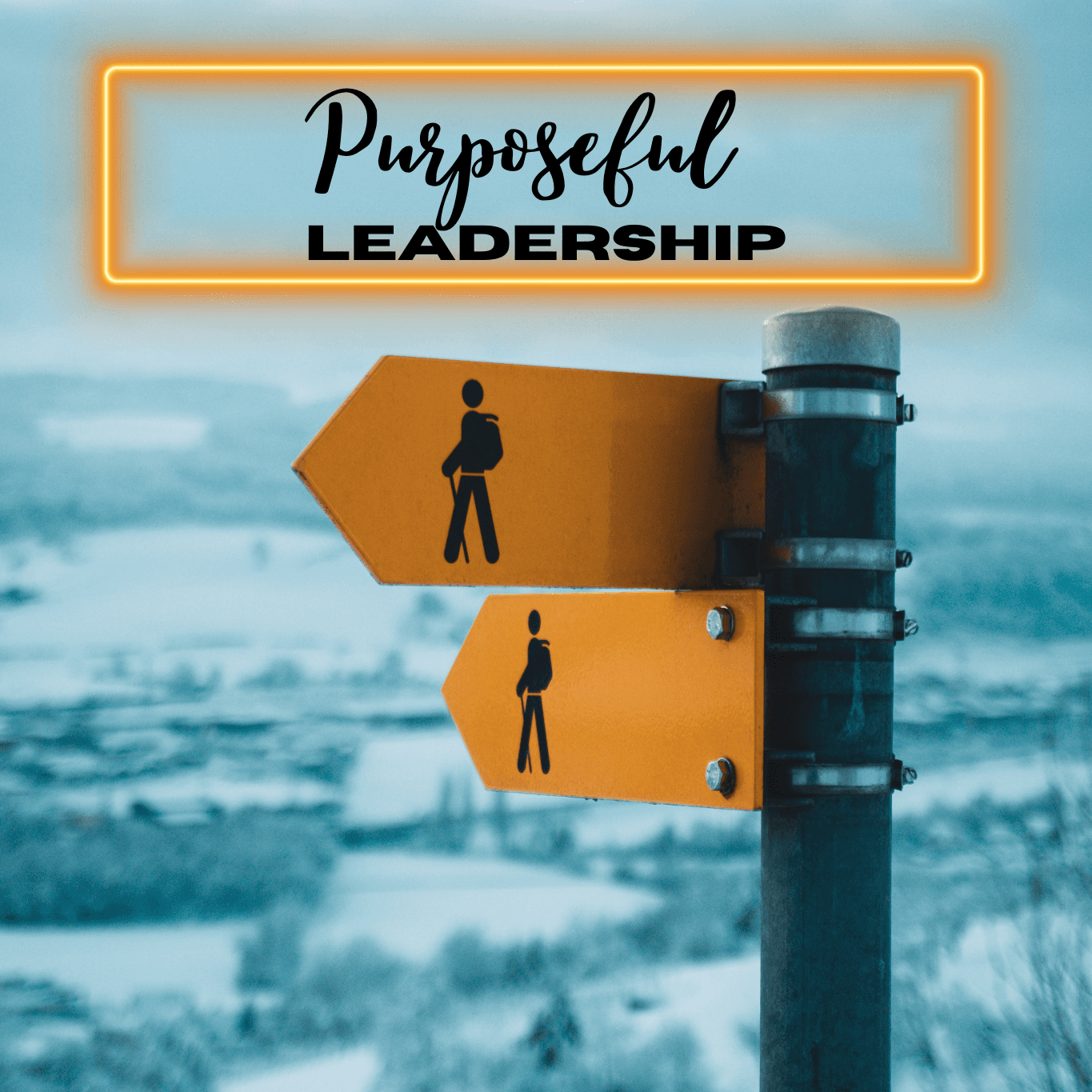 Purposeful Leadership